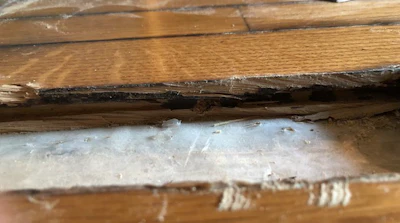 10 21 20 Black Stained Floor Seam