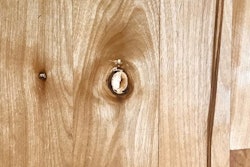 11 23 20 Maple Filler In Open Knot