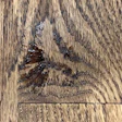 Oow 1220 Wfb Dj21 Otj Opener Tot Tim Nathan Vac Stain Pull Oak Med