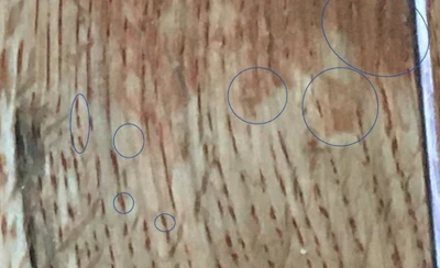 3 16 21 Disappearing Stain Closeup450