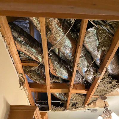 Frozen and bursting pipes have wreaked havoc on wood floors in Texas since the blizzard.