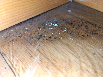 3 8 21 Mystery 8 Debris In Finish