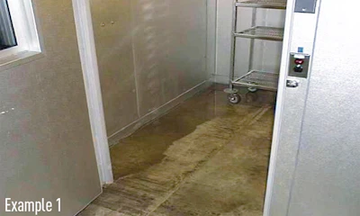 The 'mystery' moisture in one area of this floor was caused by a temperature difference; the colder concrete attracted so much moisture from the air every night that there was visible water on the floor.