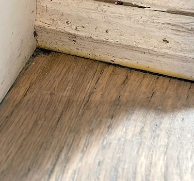 Sometimes the details that can cause trouble aren't even anything you did: These splatters were from the last contractor who did the floor, but if you don't point them out to the homeowners before your work begins, they might think they are your fault.