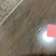 Thickness of a veneer doesn’t necessarily translate to dent-resistance; this dent was on a 3-mm sawn-face lamella.