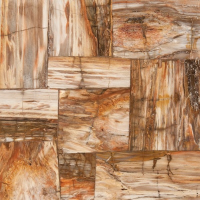 Yyy 613 Hf Ann Sacks Petrified Wood 12x12 Retro Large Mosaic Red Polished Lg