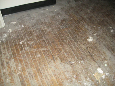 Existing Flooring 1 Lg