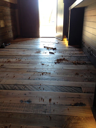 Odd 815 Hf 232 Lg