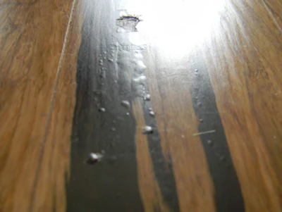 Hf On13 Dscn1478 Web