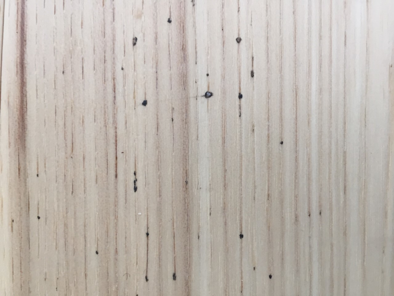 Wood Floor Mystery 11 What Do You Think Caused These Black Spots? Wood Floor Business