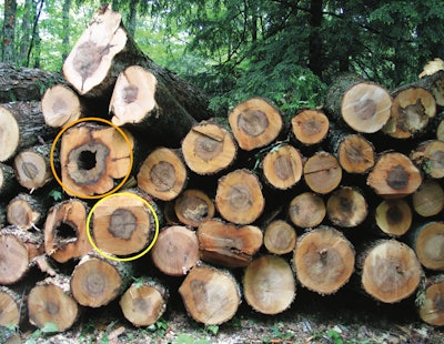 Screen Shot 2022 04 22 At 12 40 00 Pm