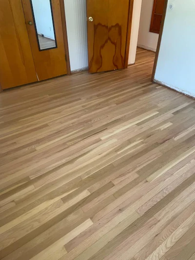 296309333 5248469415230219 8423277205567047634 N