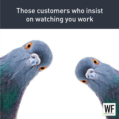 Customers Who Watch Pigeons