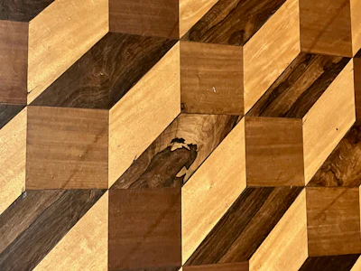 Img 0525 Palacio Da Bolsa Parquet Closeup