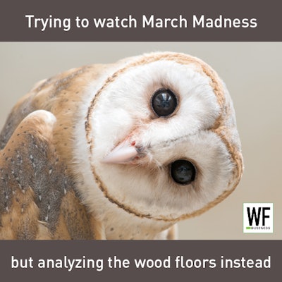 Owl March Madness