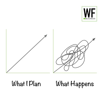 What I Planned What Happens