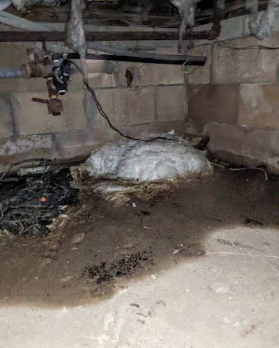 1 M 423 Wfb Am23 Techn Crawlspace2 Blob Lg