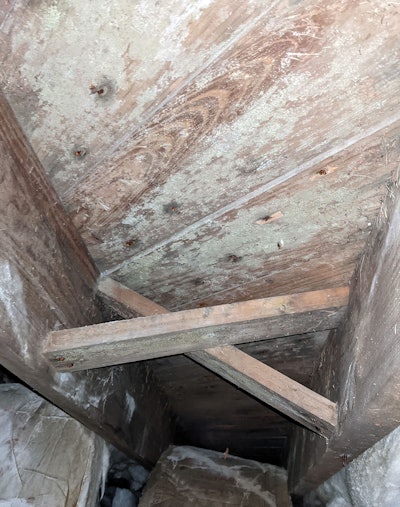 1 P 423 Wfb Am23 Techn Crawlspace2 Mold On Subfloor Lg