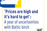 Baltic Birch