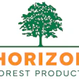 Hfp Logo Color 01 2023