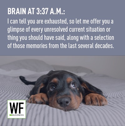 Puppy Brain At337am