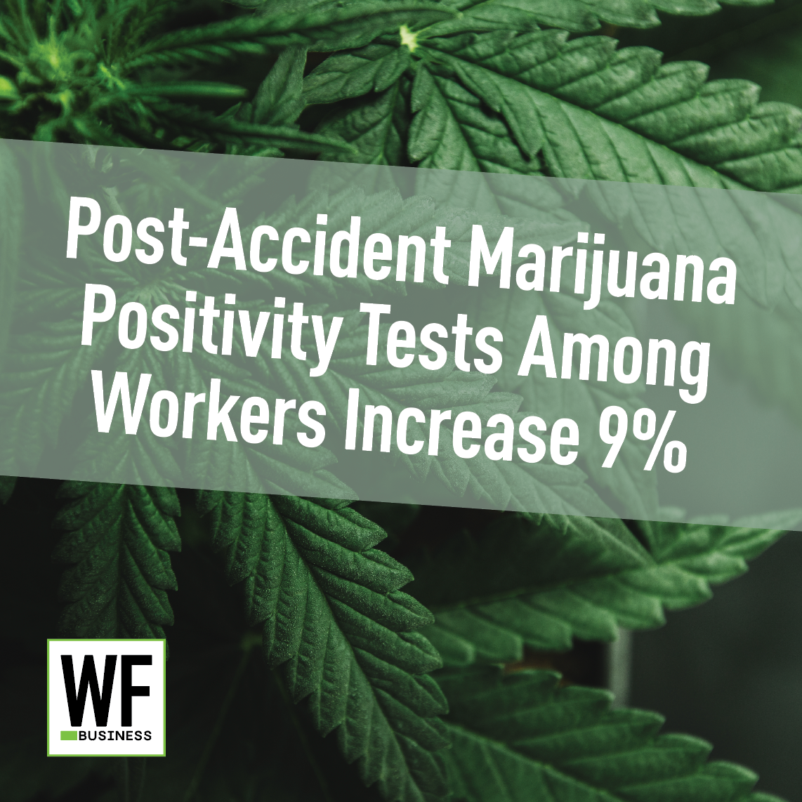 Post-Accident Marijuana Positivity Tests Increased 9% In 2022 | Wood ...