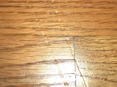 This finish didn’t fail (it’s actually still 100% adhered through the scratch), but the floor owners' expectations in regard to their floors, their large dog, and his untrimmed claws were not talked through sufficiently beforehand. You can actually see how the scratch gets deeper in the spring wood, then jumps up on the summer wood—but still with the finish intact underneath.