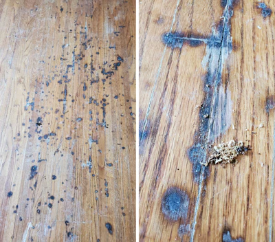 Wood Floor Mystery 15 Weird Black Spots Closeups
