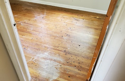 Wood Floor Mystery 15 Weird Black Spots Gagag