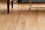 Horizon Forest Products