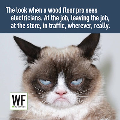 Grumpy Cat Answers