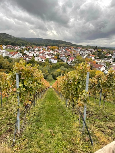 397580412 908771040814514 8508129219424157984 N