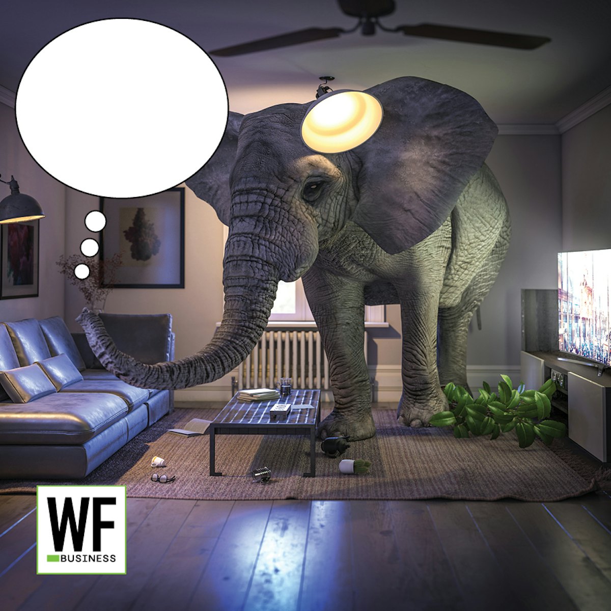 WFB Seeks Funny Captions For ‘Elephant in the Room’ Photo Wood Floor