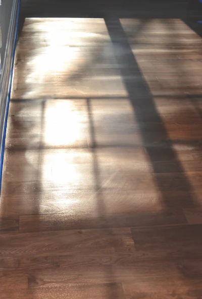 As the finish dries on this stained floor, multiple problems are apparent. Swirl marks are obvious in the bottom right of the window reflection, and the scalloped pattern was not consistent along the wall. Buffing the perimeter of the room first would prevent the scallop pattern.
