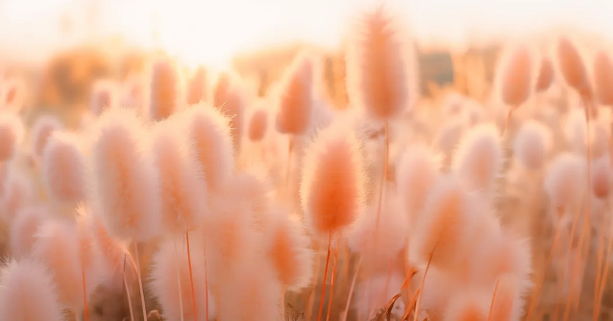 Pantone's Color of the Year 2024 Is Peach Fuzz—Here's 11 Ways to