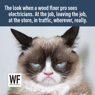 Grumpy Cat Answers