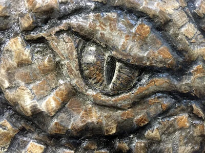 Wfoy Archetypal Eye Cu New