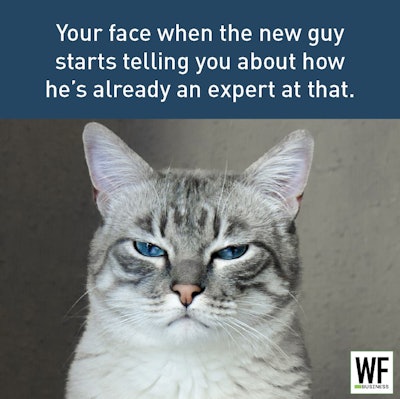 Cat Expert New Guy