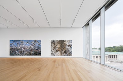 At the Buffalo AKG Art Museum, installing rift-and-quartered clear Northern red oak plank saved the museum $8/square foot for 30,000 square feet over using white oak plank while still providing a clean aesthetic. (Photo provided by Allegheny Mountain Hardwood Flooring, courtesy of Installers Warehouse)