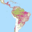 An interactive map on the Global Forest Watch website displays tree cover loss from 2001–2023 (in pink) in areas with greater than 30% canopy density.