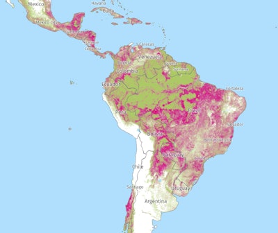 An interactive map on the Global Forest Watch website displays tree cover loss from 2001–2023 (in pink) in areas with greater than 30% canopy density.