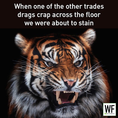 Tiger Drags Crap