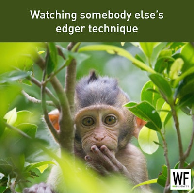 Monkey Somebodys Edger Techn