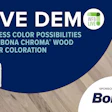 Wfb Ld Bona Website 626 2
