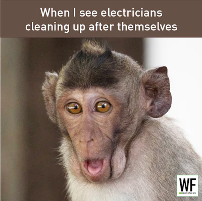 Electrician Monkey