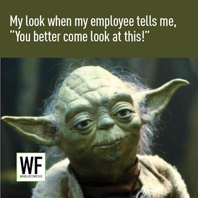 Yoda Again Answers2