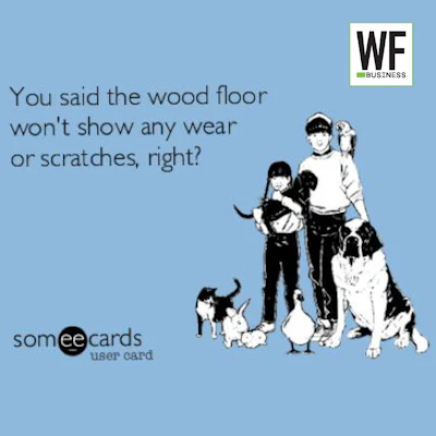 Animals Wear And Scratches Right Sq