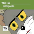Meme2