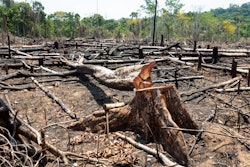 Illegal deforestation in the Brazilian state of Para.