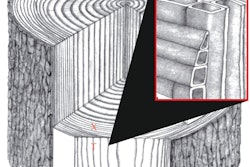 The long axis of most wood cells is oriented parallel with the tree length.